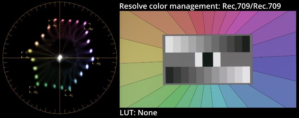 Resolve decode to Rec.709