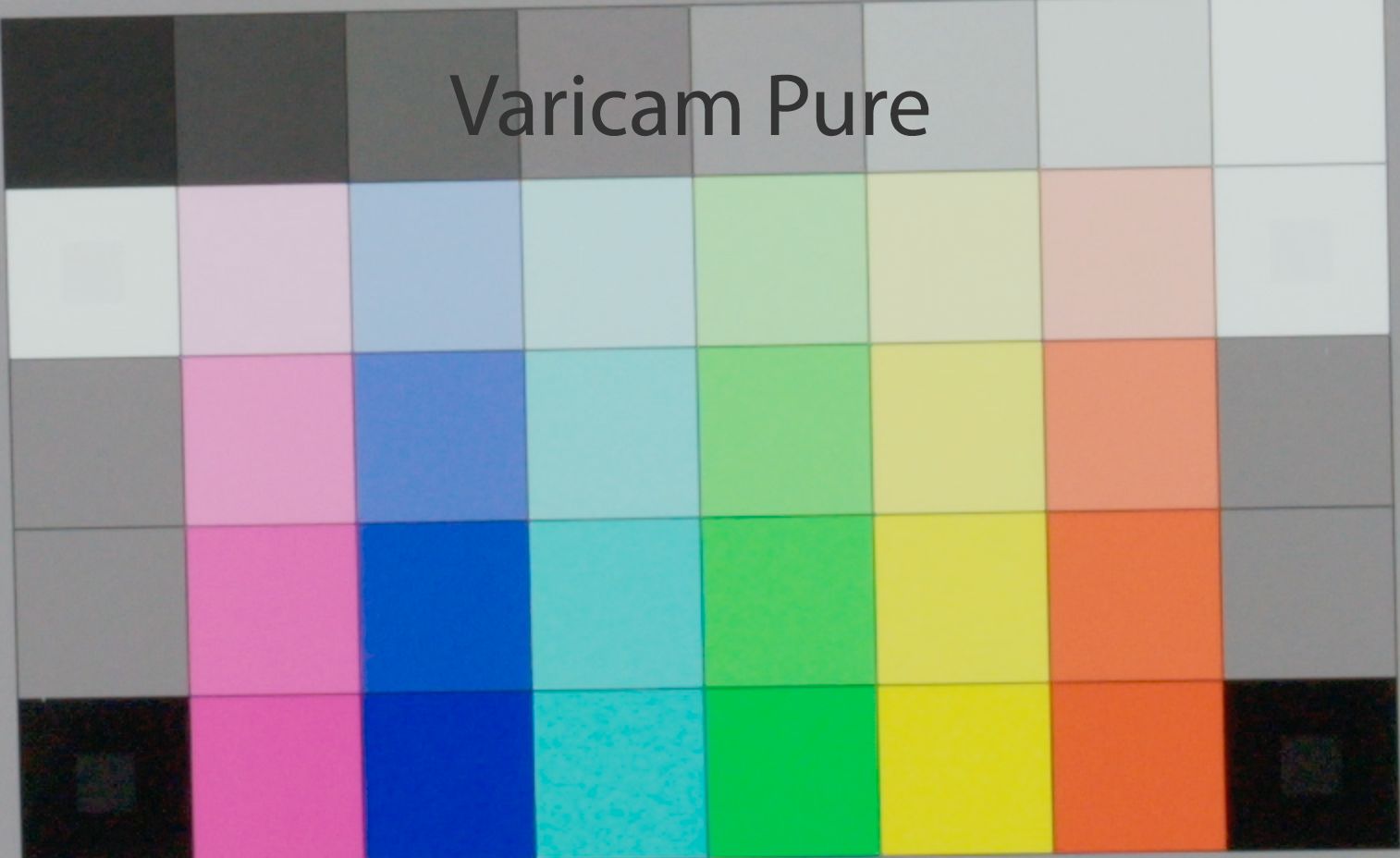 Varicam Pure